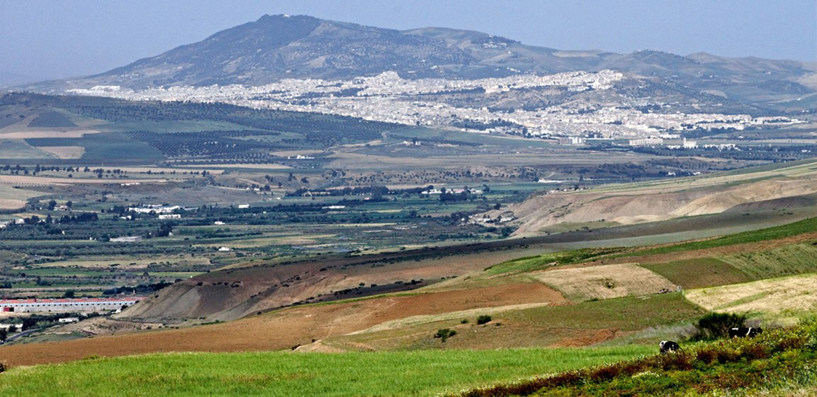 Morocco Countryside tour from fes & Day trip From Fes to countryside